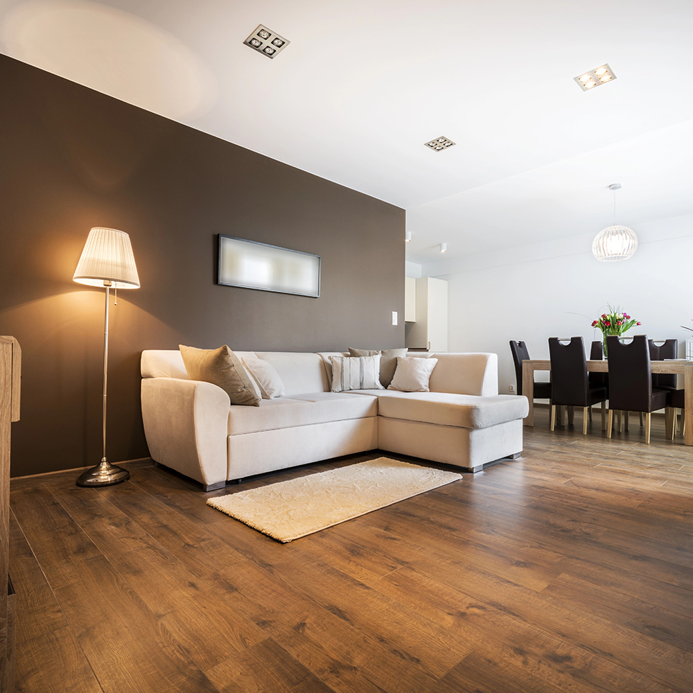 moderno-salon-con-sala-comedor